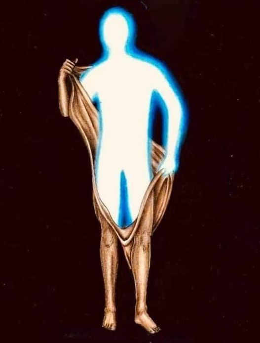 Sick of the Human Costume