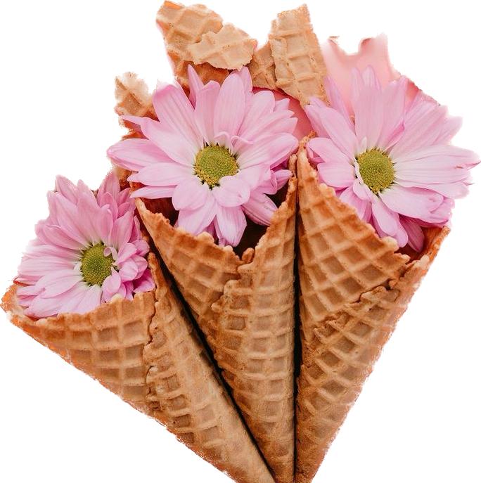 WhatsApp Image 2023-11-04 at 13.13.49 (6)